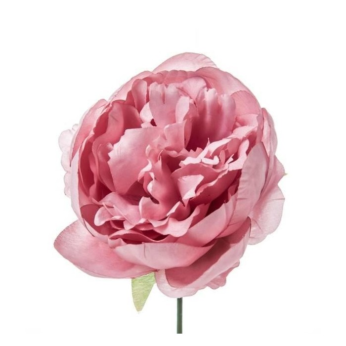 PICK PEONIA COLORE ROSA CIPRIA H19 D11